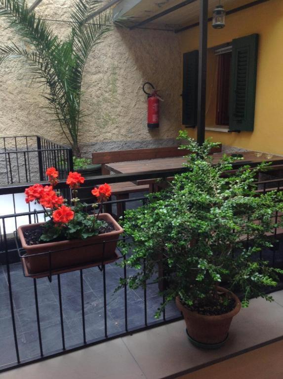 Hotel Il Patio Manarola Zewnętrze zdjęcie